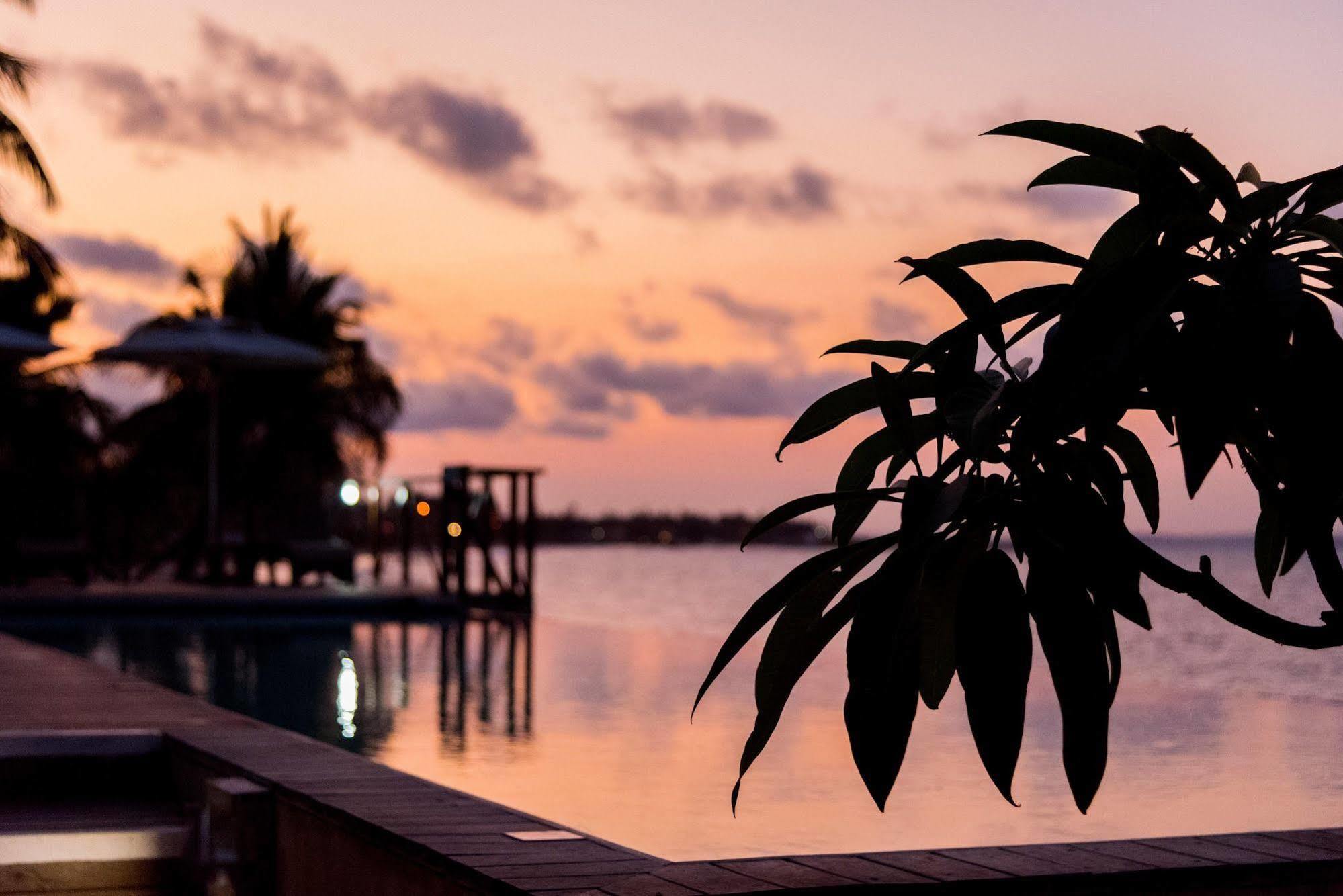 The Nautilus Pemba Hotell Eksteriør bilde